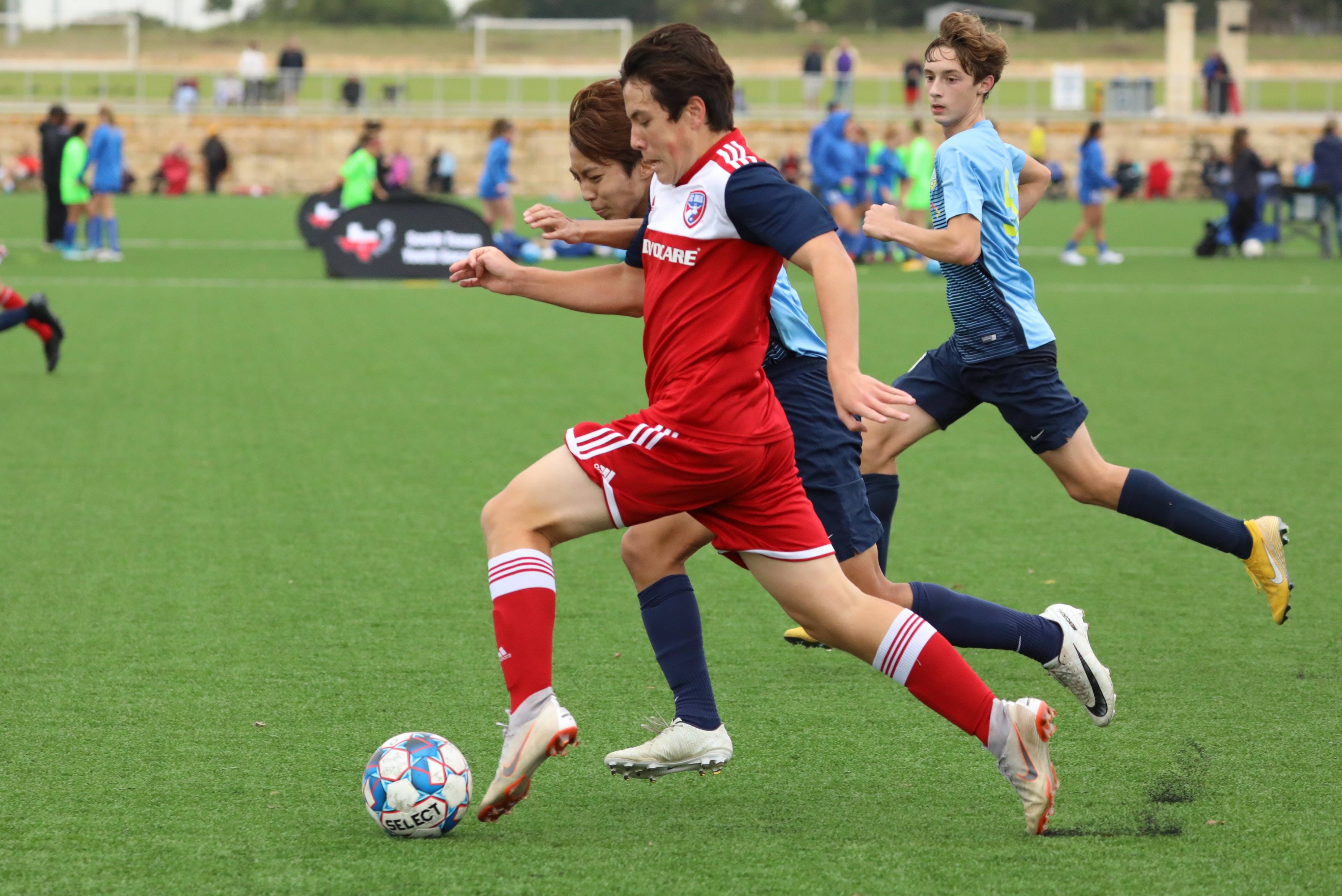 上的每一个 上的每一个