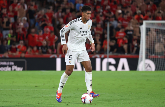 培养体系的 培养体系的